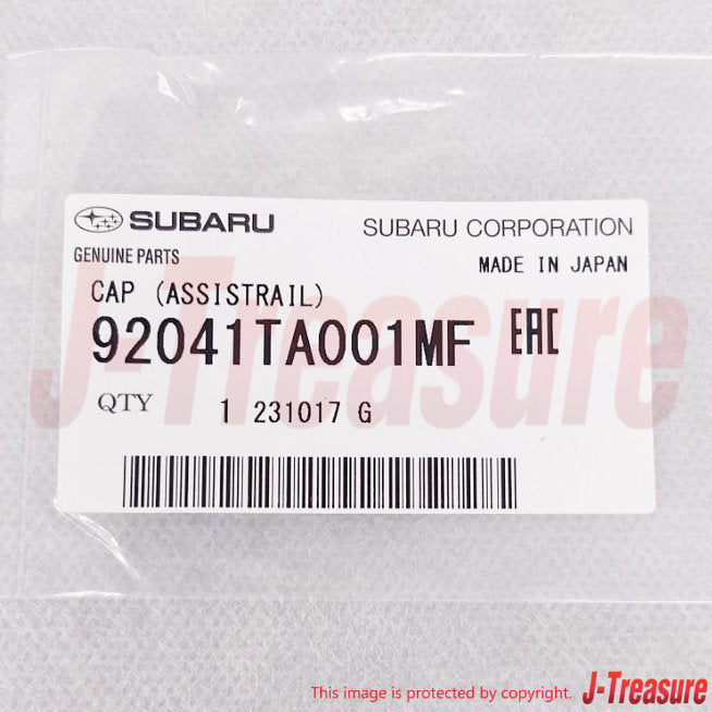 SUBARU SAMBAR KS3/KV3 Genuine Fr/Pillar Assist Rail RH or LH W/Cap & Screws OEM