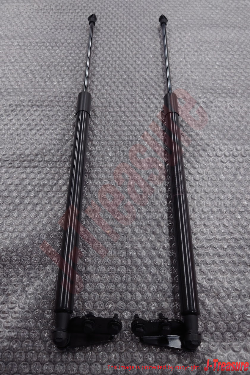 NISSAN X-TRAIL T31 2007-2015 Genuine Back Door Stay Assy Right & Left Set OEM
