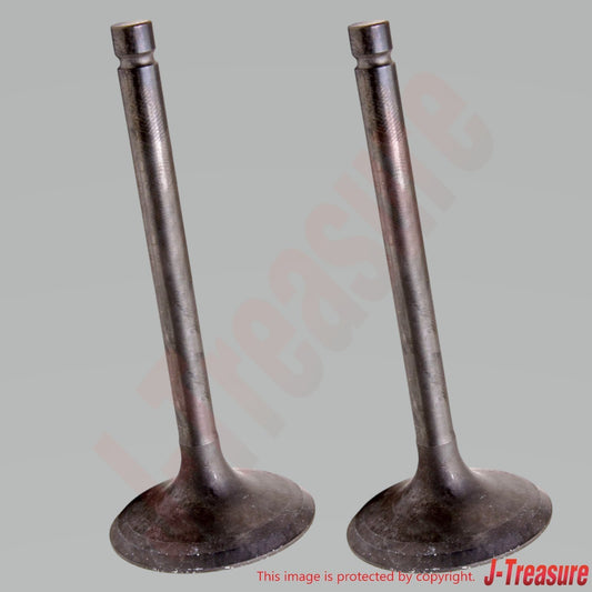 KAWASAKI KLR650 KL650A KL650E '87-10 Genuine Intake Valve 12004-1087 x2 Set OEM