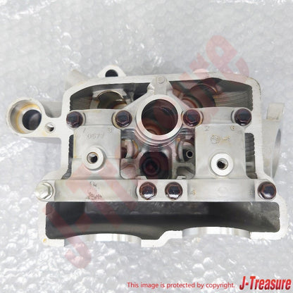 KAWASAKI KX250F KX252AHF 2017 Genuine Cylinder Head Comp 11008-0894 OEM