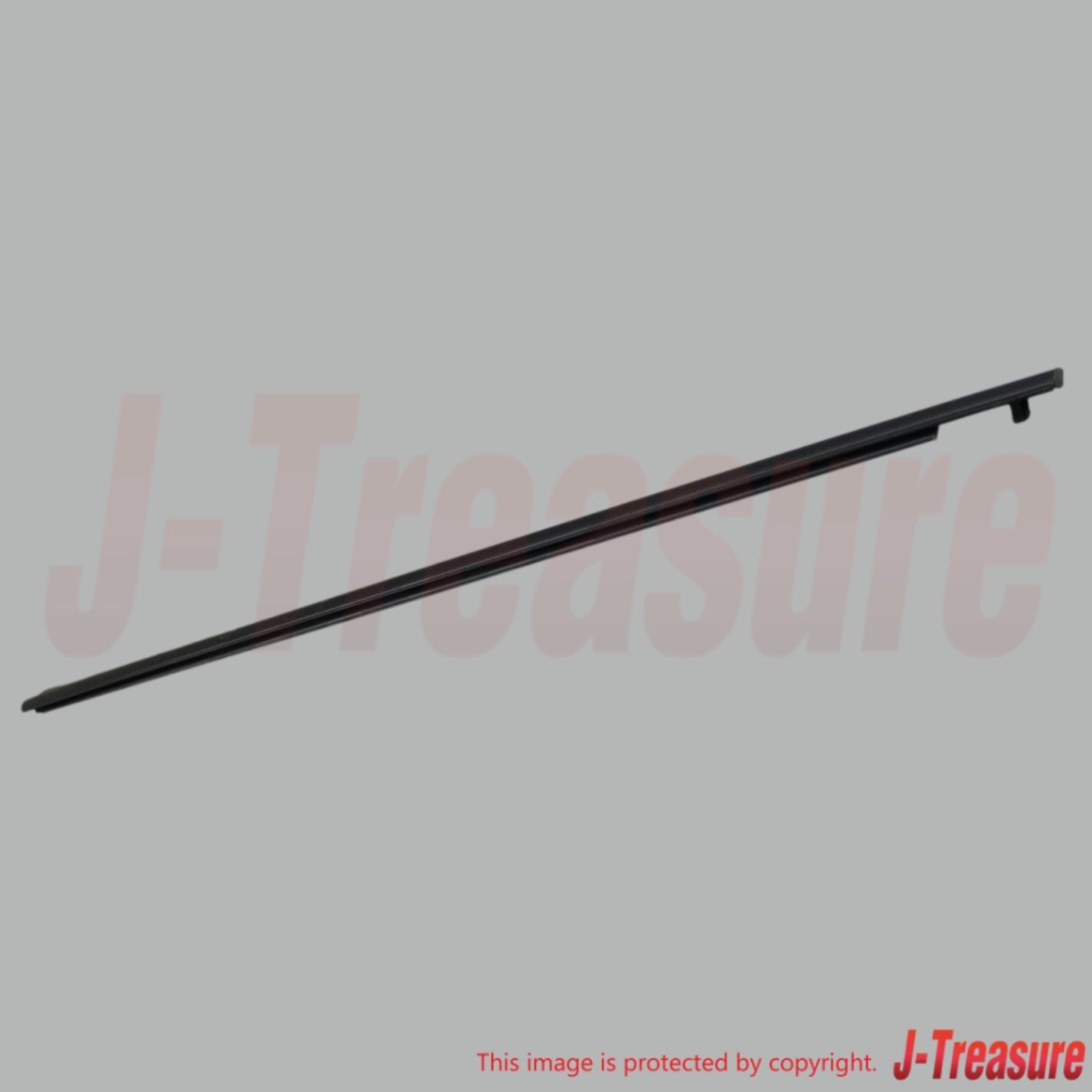 TOYOTA SCION tC ANT10 '05-10 Genuine Front Door Belt Moulding RH & LH Set OEM