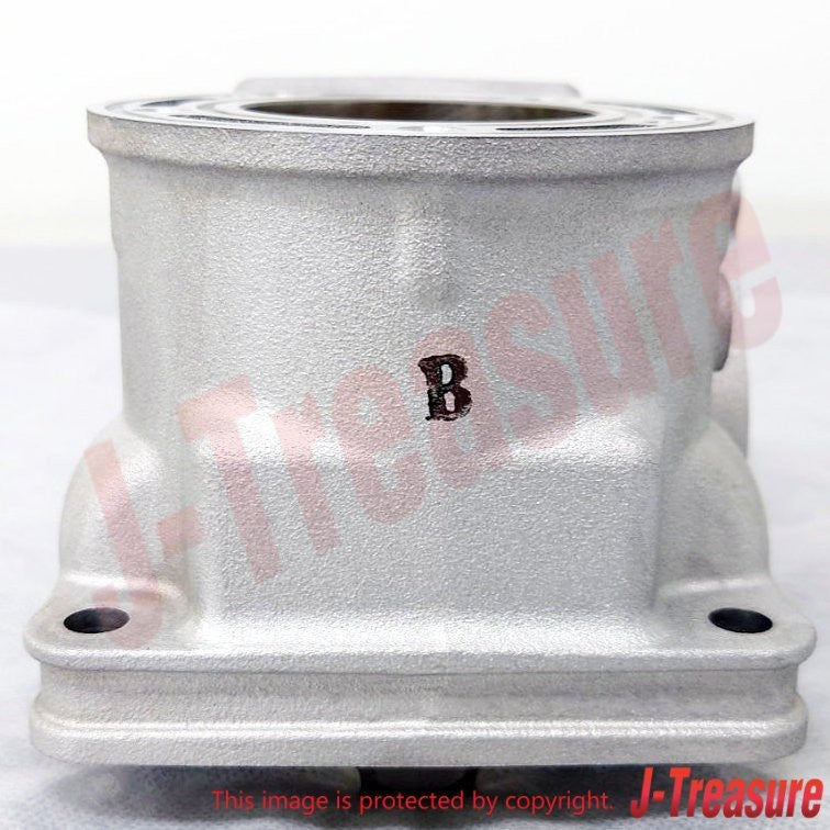 YAMAHA YZ125 '22-24 YZ125X '23-24 Genuine Engine Cylinder 1 B4X-11311-01-00 OEM