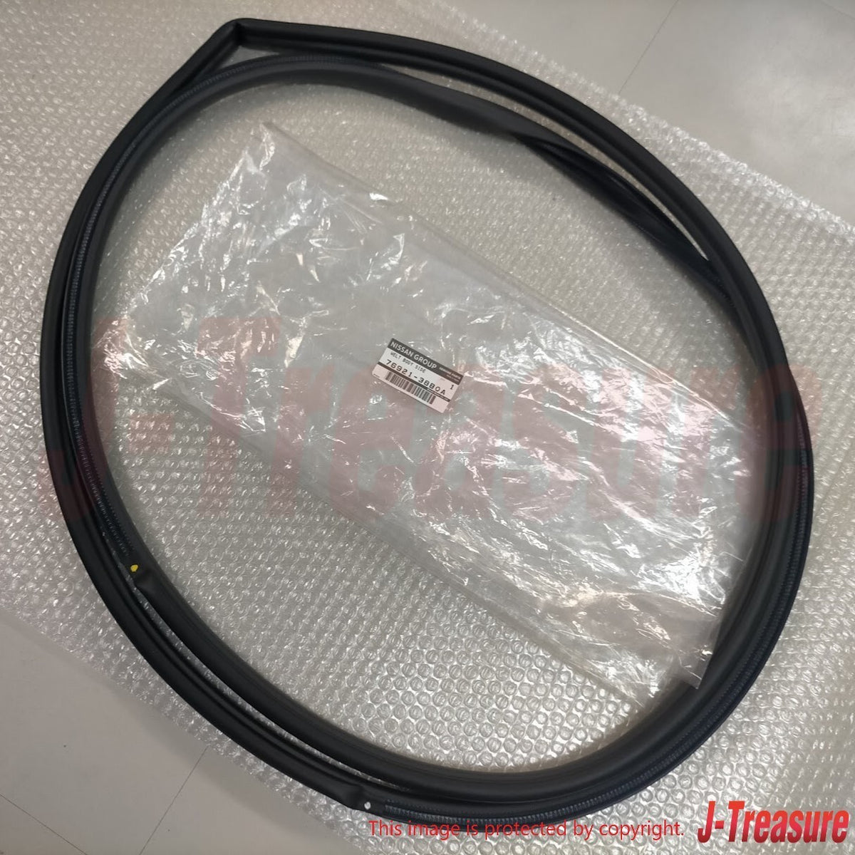 NISSAN GT-R R35 2012-2024 Genuine Front Welt Body Side Seal Right & Left Set OEM