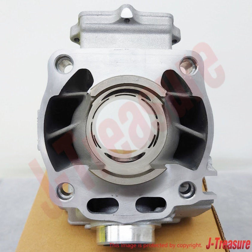 YAMAHA YZ250X 2016-2023 Genuine Engine Cylinder 1 BF1-11311-00-00 OEM