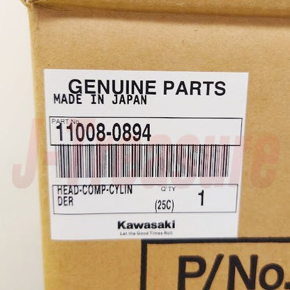 KAWASAKI KX250F KX252AHF 2017 Genuine Cylinder Head Comp 11008-0894 OEM