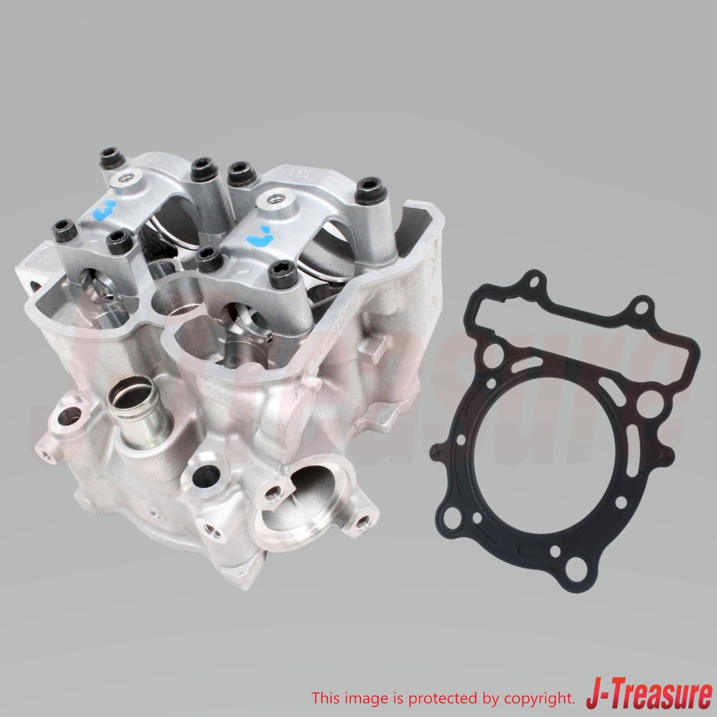 SUZUKI RM-Z250 2007 Genuine Cylinder Head Assy & Cylinder Gasket Set OEM