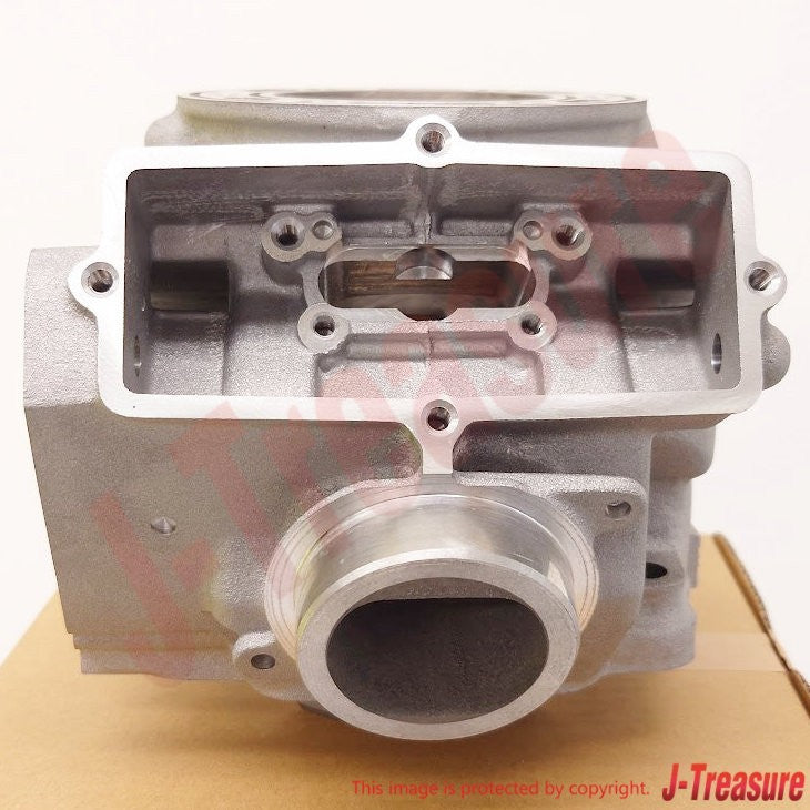 YAMAHA YZ250X 2016-2023 Genuine Engine Cylinder 1 BF1-11311-00-00 OEM