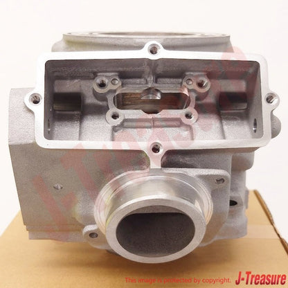 YAMAHA YZ250X 2016-2023 Genuine Engine Cylinder 1 BF1-11311-00-00 OEM