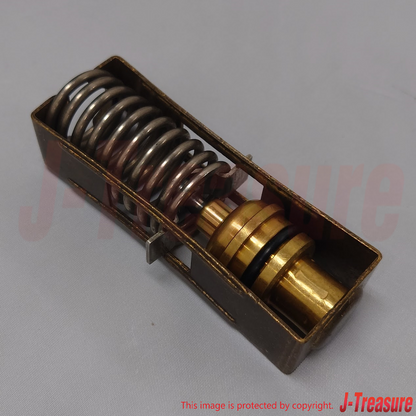 NISSAN PATHFINDER R50 1996-2003 Genuine Thermo Element Kit 16391-31U00 OEM