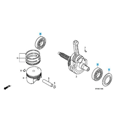 HONDA XR650L '93-25 Genuine Crankshaft Bearing(RH & LH ) & Bearing Plate Set OEM