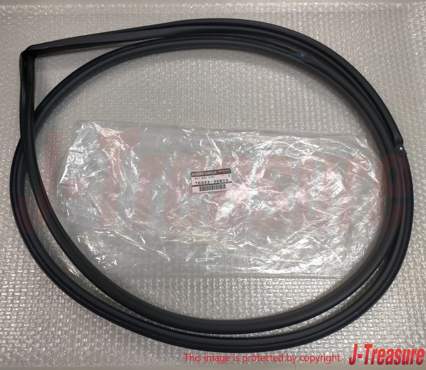 NISSAN GT-R R35 2012-2024 Genuine Front Welt Body Side Seal Right & Left Set OEM
