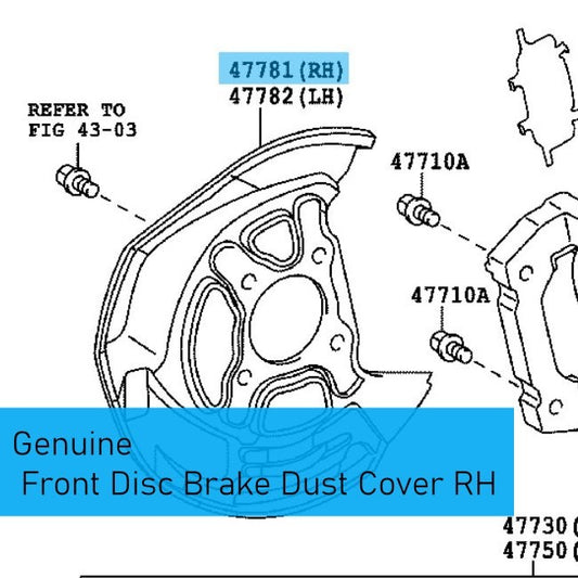 LEXUS IS250 GSE35 '14-15 Genuine F/Disc Brake Dust Cover RH 47781-30230 For AWD