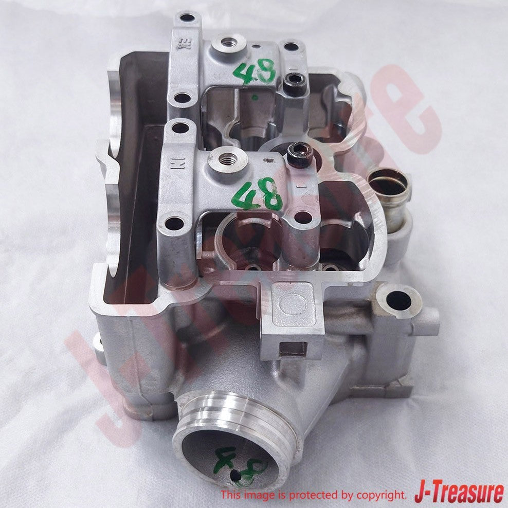 SUZUKI RM-Z250 2008-2009 Genuine Cylinder Head Assy 11100-10H10 OEM