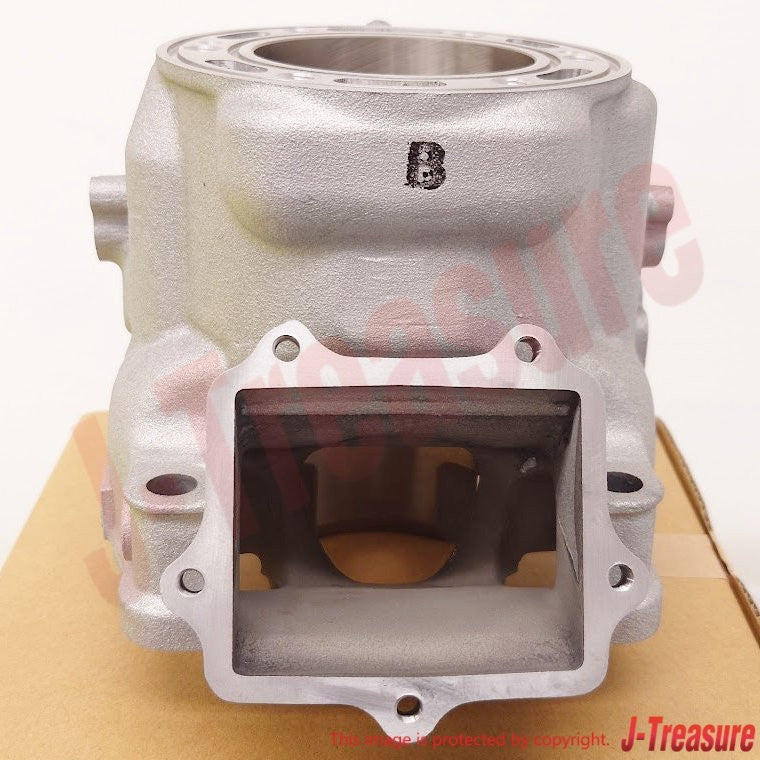 YAMAHA YZ250X 2016-2023 Genuine Engine Cylinder 1 BF1-11311-00-00 OEM