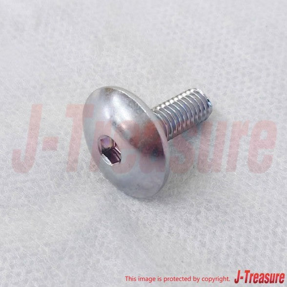 SUZUKI HAYABUSA GSX1300R 08-12 Genuine Front Fender Screw(6X16) x4 Set OEM