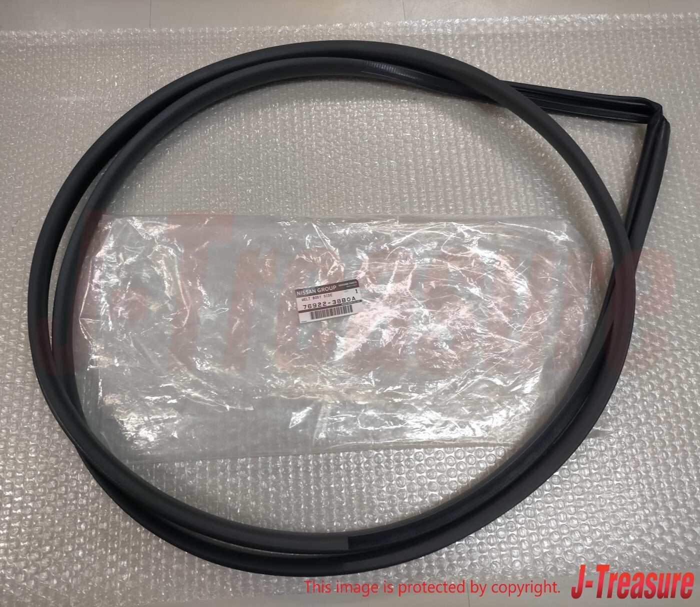 NISSAN GT-R R35 2012-2024 Genuine Front Welt Body Side Seal Right & Left Set OEM