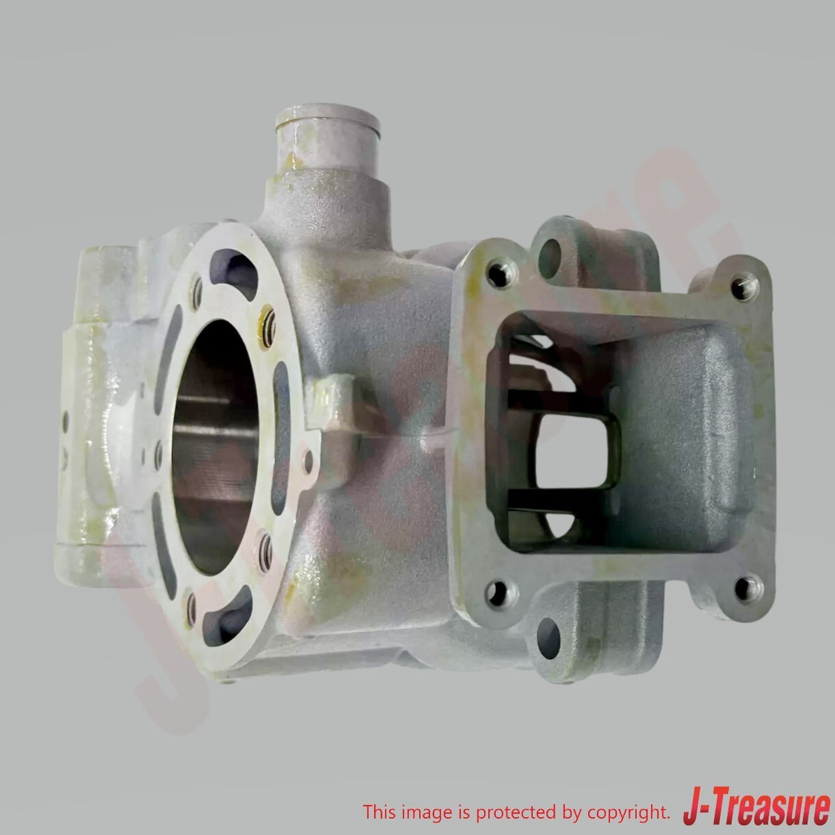 KAWASAKI KX100 2014-2018 Genuine Engine Cylinder 11005-0758 OEM