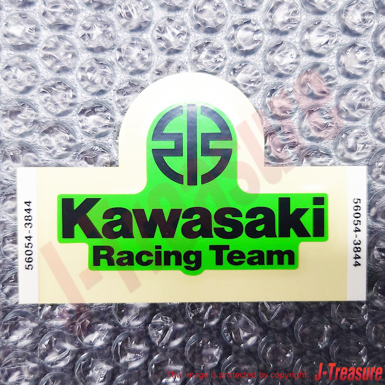 KAWASAKI NINJA 650 2023 Genuine Front Fender Mark KRT 56054-3844 OEM