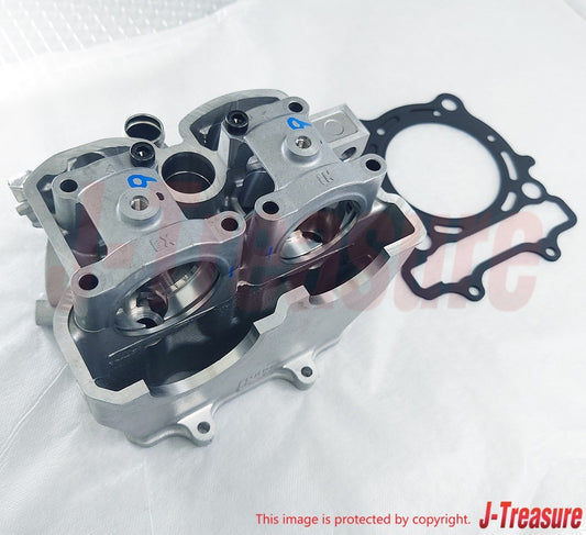 SUZUKI RM-Z250 2007 Genuine Cylinder Head Assy & Cylinder Gasket Set OEM