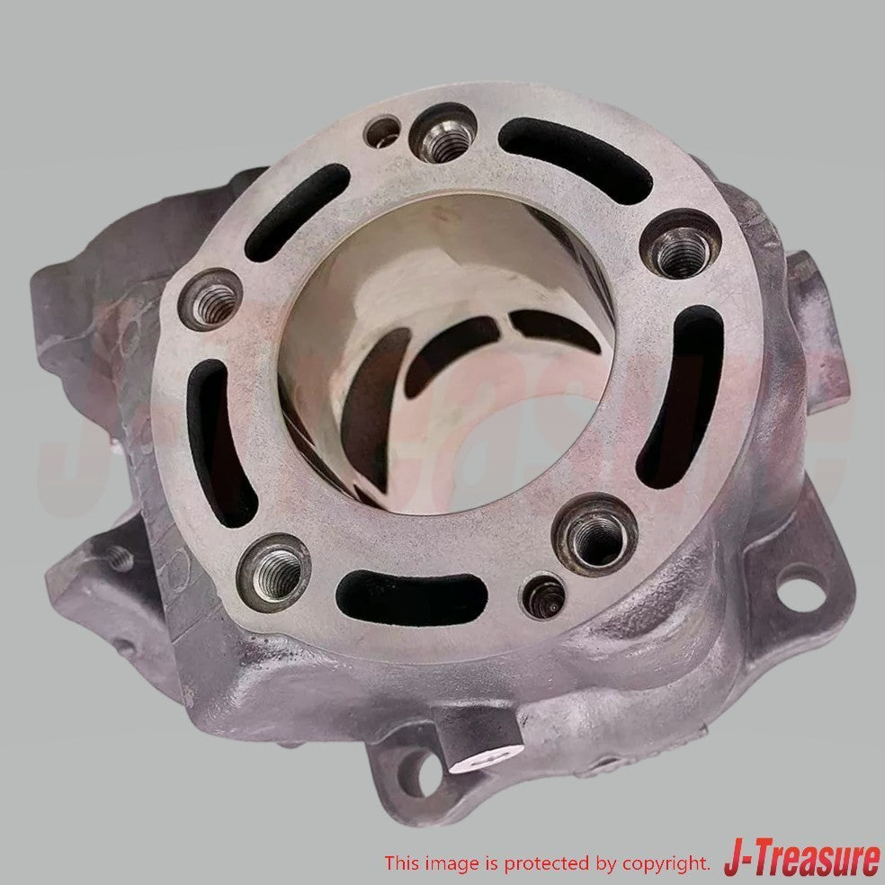 HONDA CR125R 2000-2001 Genuine Engine Cylinder A 12110-KZ4-L10 OEM