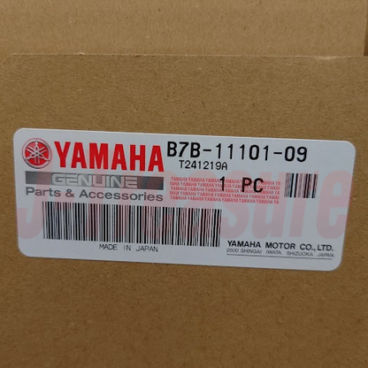 YAMAHA YZ250F 2019-2021 Genuine Cylinder Head Assy B7B-11101-09-00 OEM