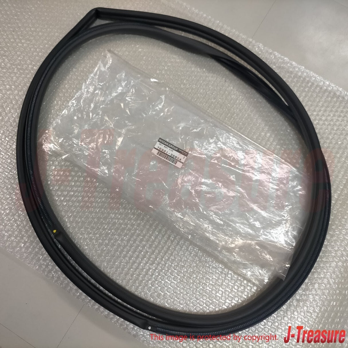 NISSAN GT-R R35 2012-2024 Genuine Front Welt Body Side Seal Right & Left Set OEM