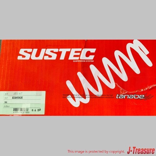 TOYOTA RAV4 MXAA54 2019- TANABE Lift Up Spring Sustec UP210 Kit AXAH54UK