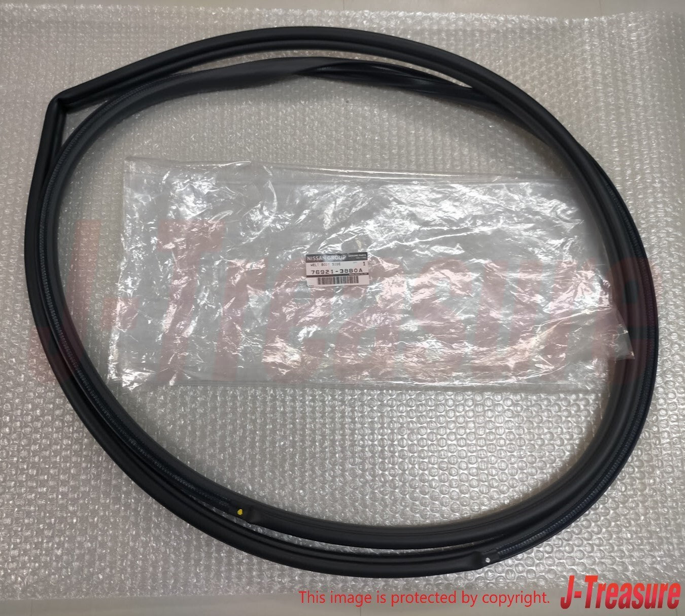 NISSAN GT-R R35 2012-2024 Genuine Front Welt Body Side Seal Right & Left Set OEM