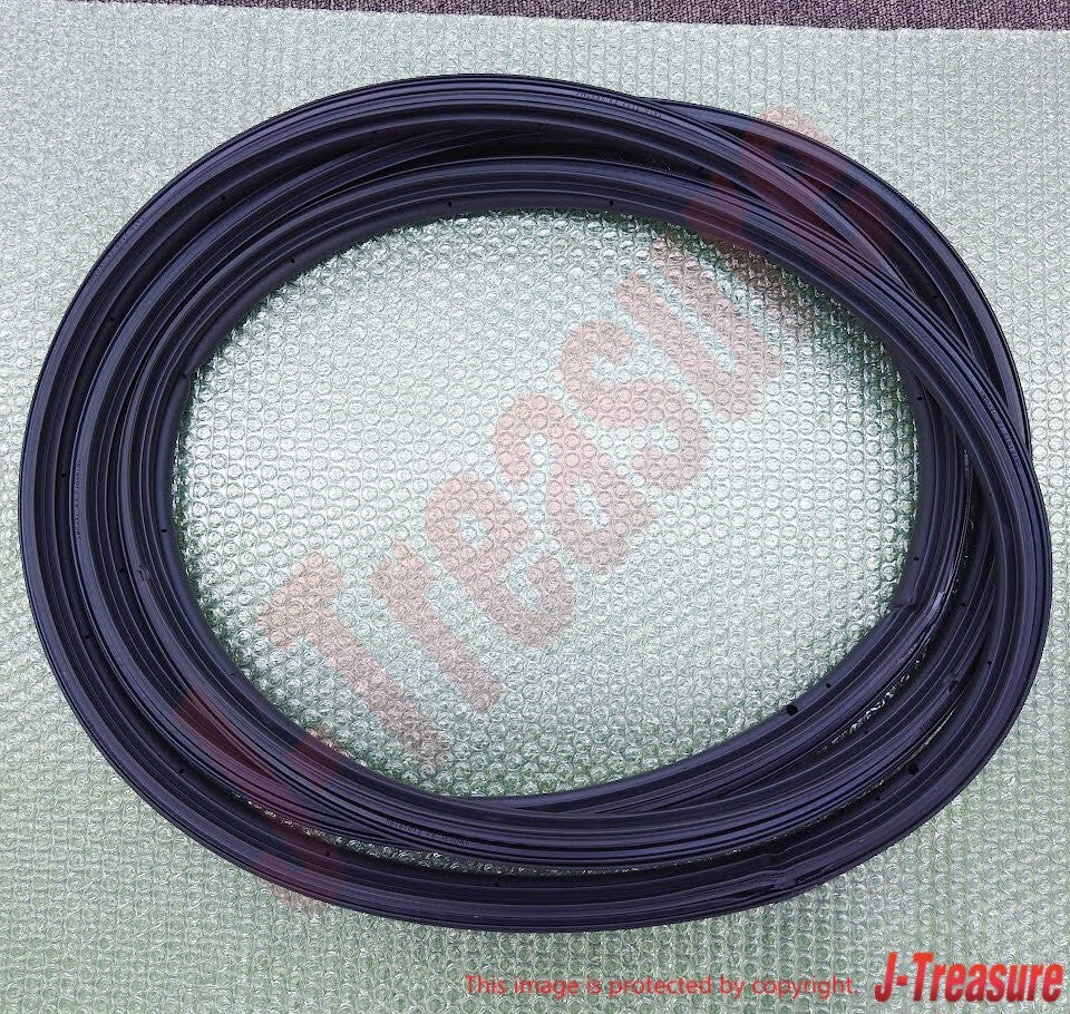 TOYOTA LAND CRUISER 100 LC100 LEXUS LX470 Genuine Back Door Weatherstrip OEM