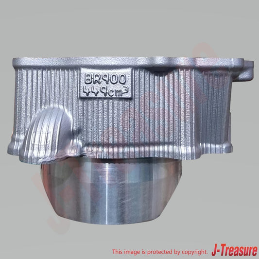 YAMAHA YZ450F '18-19 WR450F '19-20 Genuine Engine Cylinder BR9-11311-00-00 OEM
