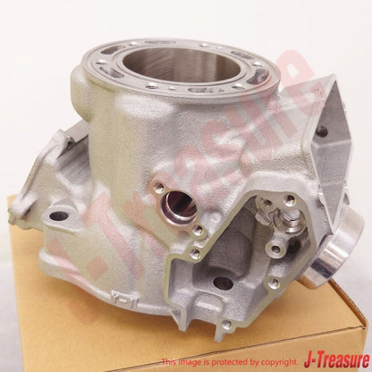 YAMAHA YZ250X 2016-2023 Genuine Engine Cylinder 1 BF1-11311-00-00 OEM