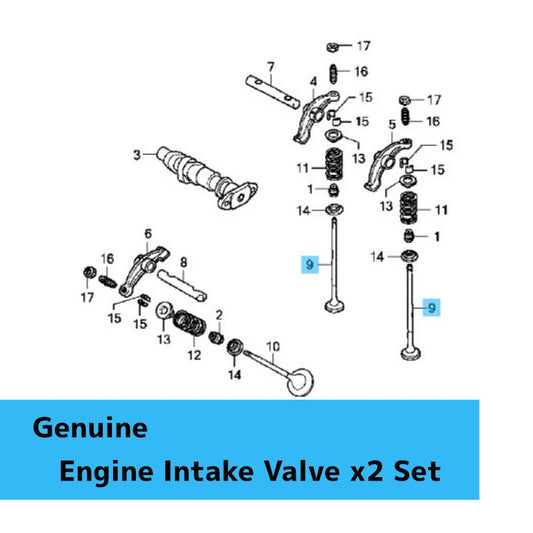 HONDA VT750RS SHADOW RS '10-13 Genuine Engine Intake Valve 14711-MBL-G00 x2 Set