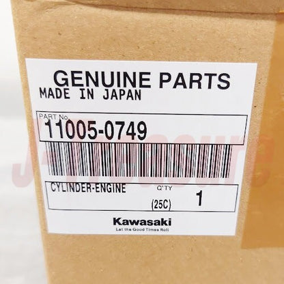 KAWASAKI KX85 2014-2018 Genuine ENGINE CYLINDER 11005-0749 OEM