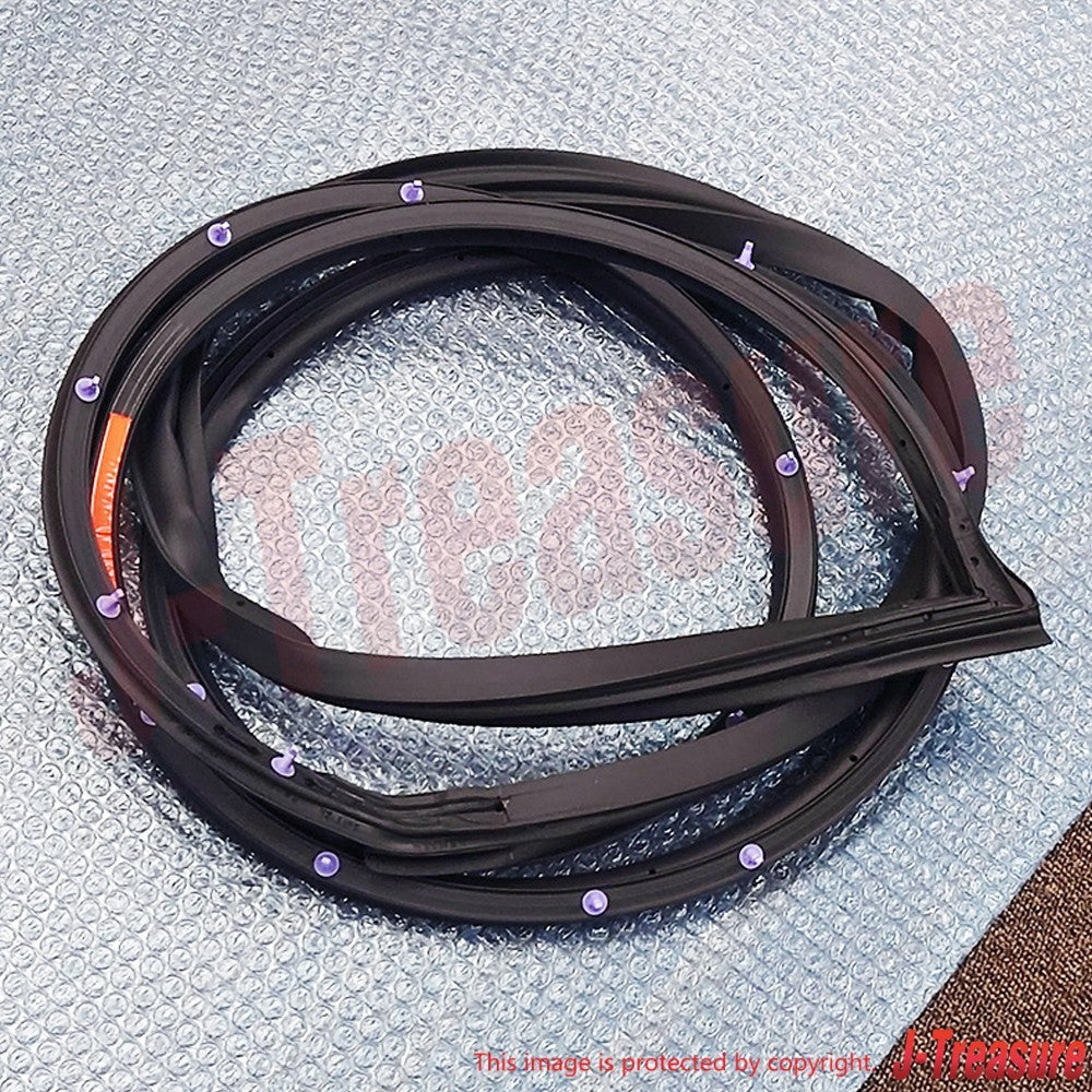 TOYOTA LAND CRUISER FZJ100 '98-07 Genuine Front Door Weatherstrip RH & LH Set