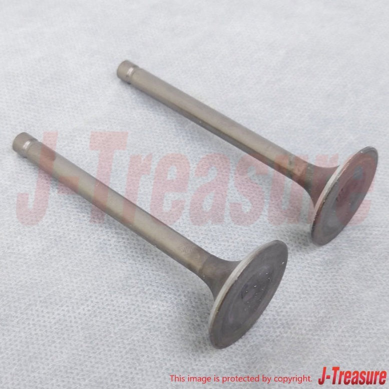 KAWASAKI KLR650 KL650A KL650E '87-10 Genuine Exhaust Valve 12005-1085 x2 Set OEM