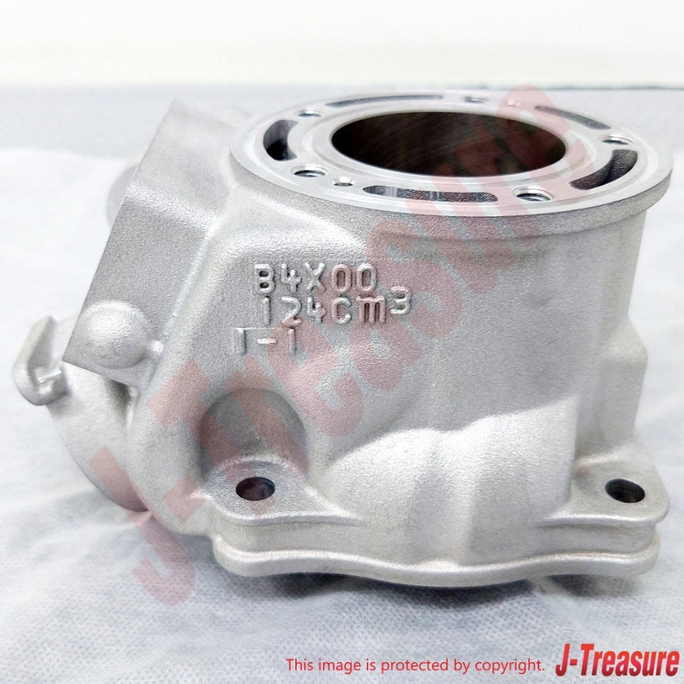 YAMAHA YZ125 '22-24 YZ125X '23-24 Genuine Engine Cylinder 1 B4X-11311-01-00 OEM