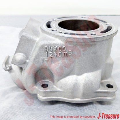 YAMAHA YZ125 '22-24 YZ125X '23-24 Genuine Engine Cylinder 1 B4X-11311-01-00 OEM