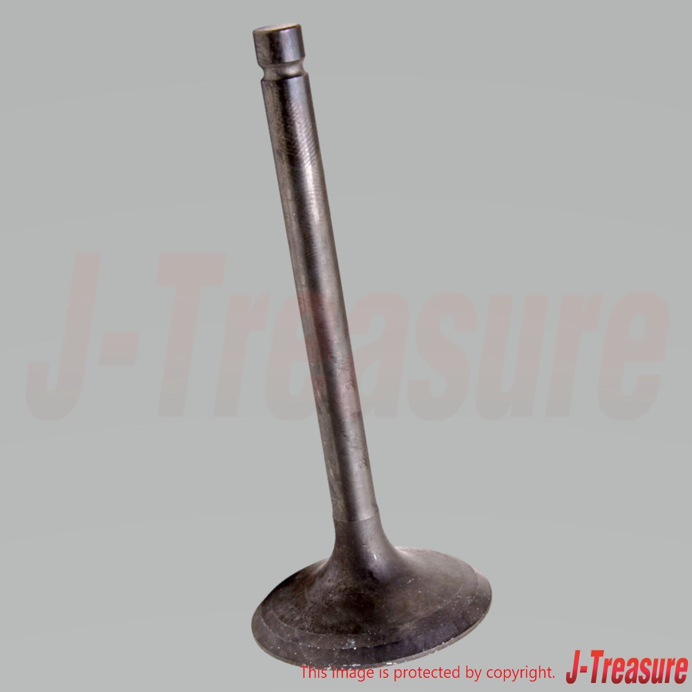 KAWASAKI KLR650 KL650A KL650E '87-10 Genuine Intake Valve 12004-1087 x2 Set OEM