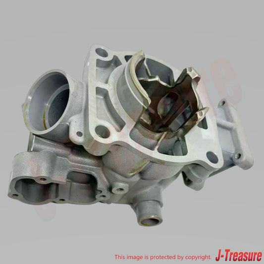 KAWASAKI KX100 2014-2018 Genuine Engine Cylinder 11005-0758 OEM