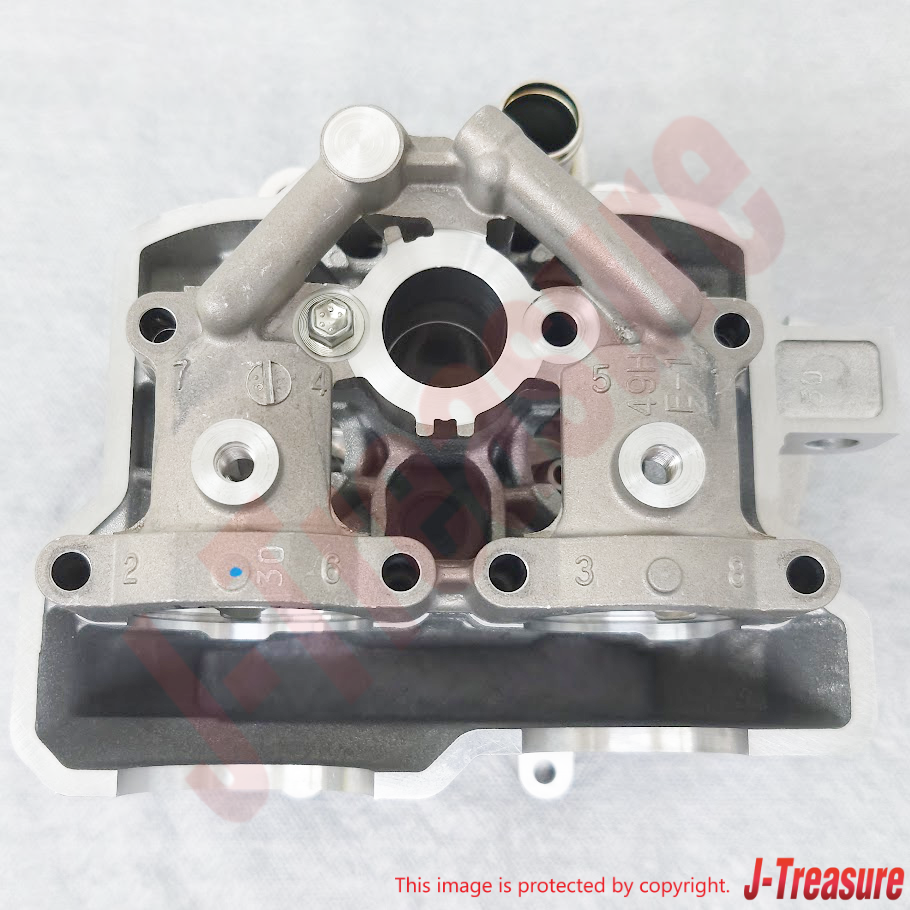 SUZUKI RM-Z250 2014-2017 Genuine Engine Cylinder Head Assy 11100-49H10 OEM
