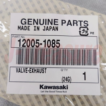 KAWASAKI KLR650 KL650A KL650E '87-10 Genuine Exhaust Valve 12005-1085 x2 Set OEM