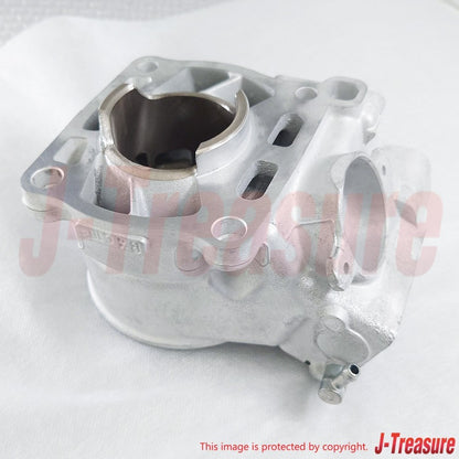 SUZUKI RM85 2005-2009 2012 2015-2023 Genuine Engine Cylinder Set 11200-03830 OEM