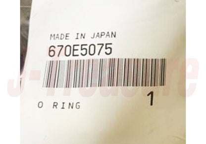KAWASAKI NINJA ZX-6R ZX636 2005-2006 Genuine Fuel Pump & O-Ring Set OEM