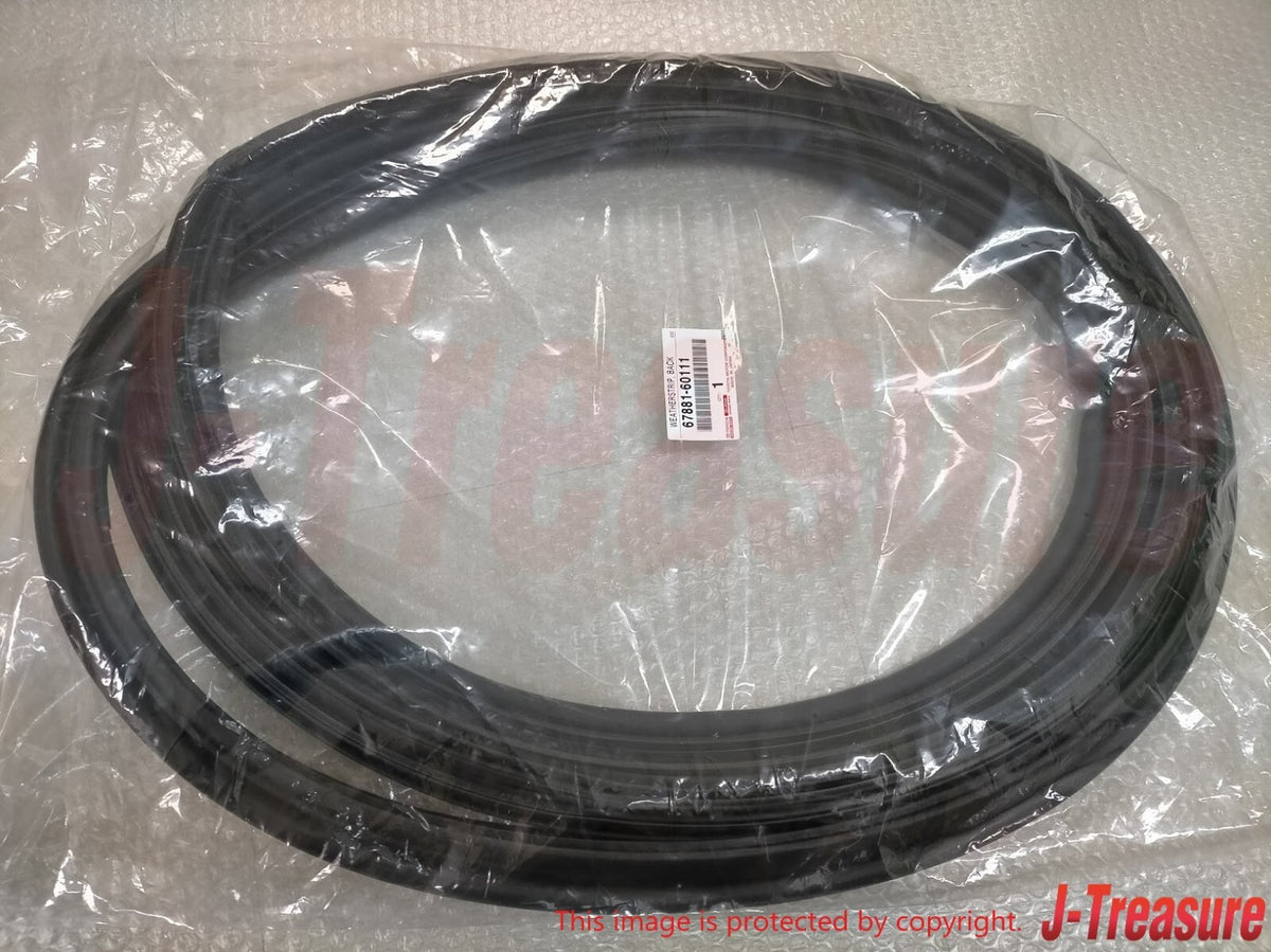 TOYOTA LAND CRUISER 100 LC100 LEXUS LX470 Genuine Back Door Weatherstrip OEM