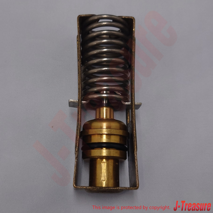 NISSAN PATHFINDER R50 1996-2003 Genuine Thermo Element Kit 16391-31U00 OEM