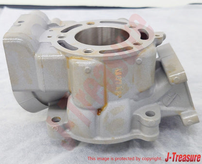 KAWASAKI KX85 2014-2018 Genuine ENGINE CYLINDER 11005-0749 OEM