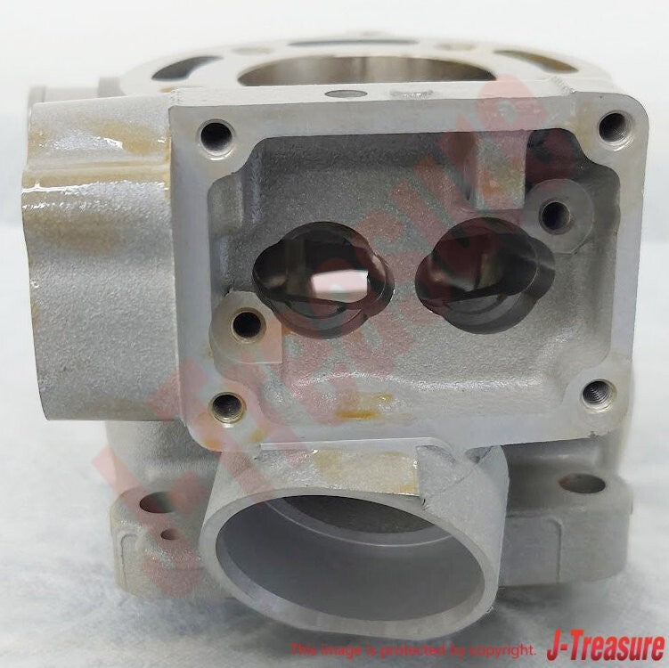 KAWASAKI KX85 2014-2018 Genuine ENGINE CYLINDER 11005-0749 OEM