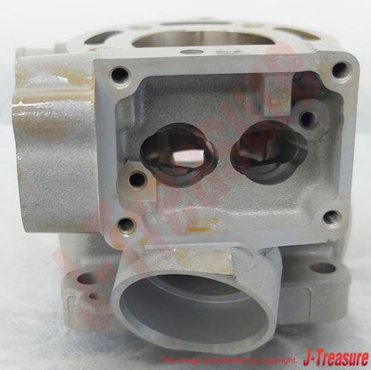KAWASAKI KX85 2014-2018 Genuine ENGINE CYLINDER 11005-0749 OEM