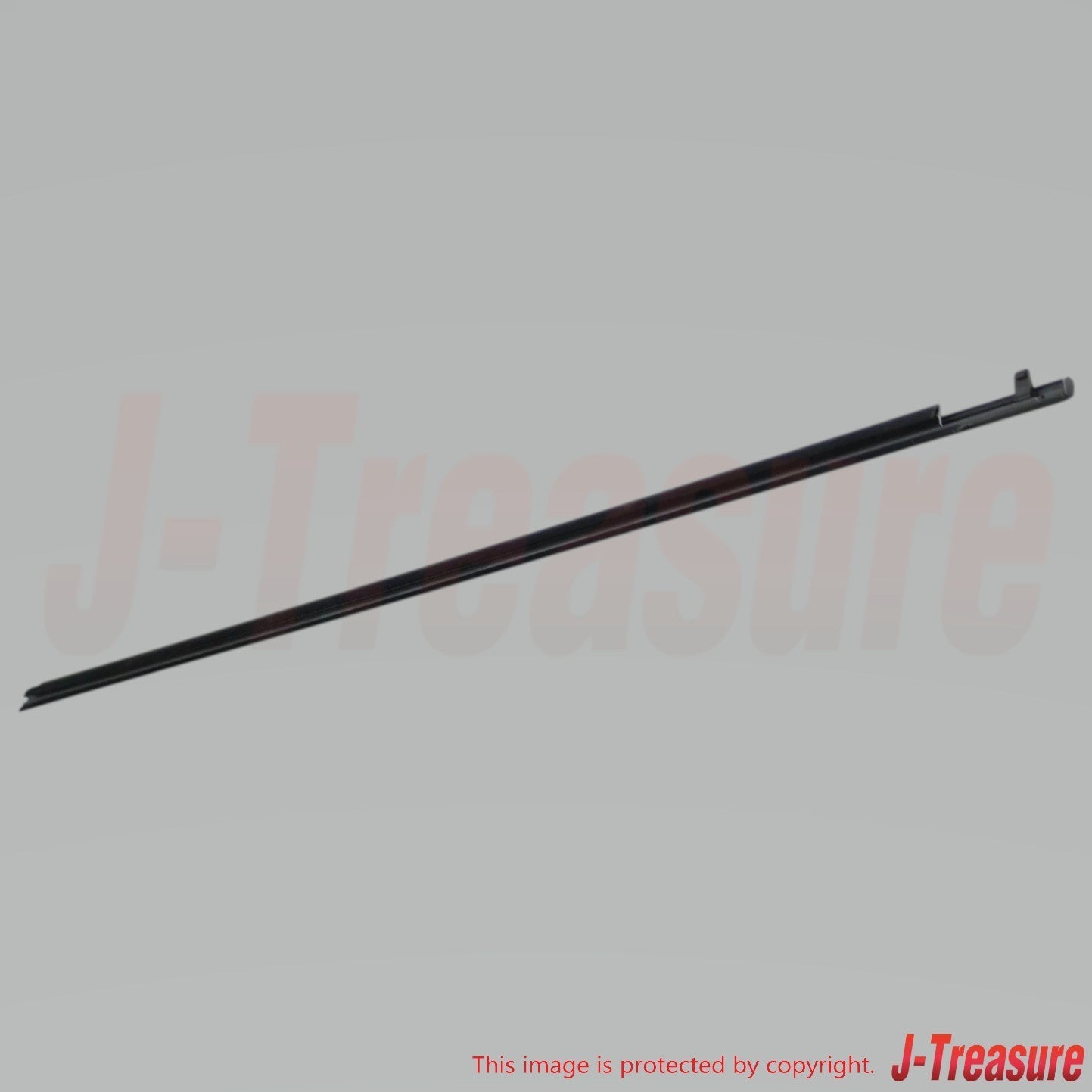 TOYOTA SCION tC ANT10 '05-10 Genuine Front Door Belt Moulding 75712-21030 LH OEM