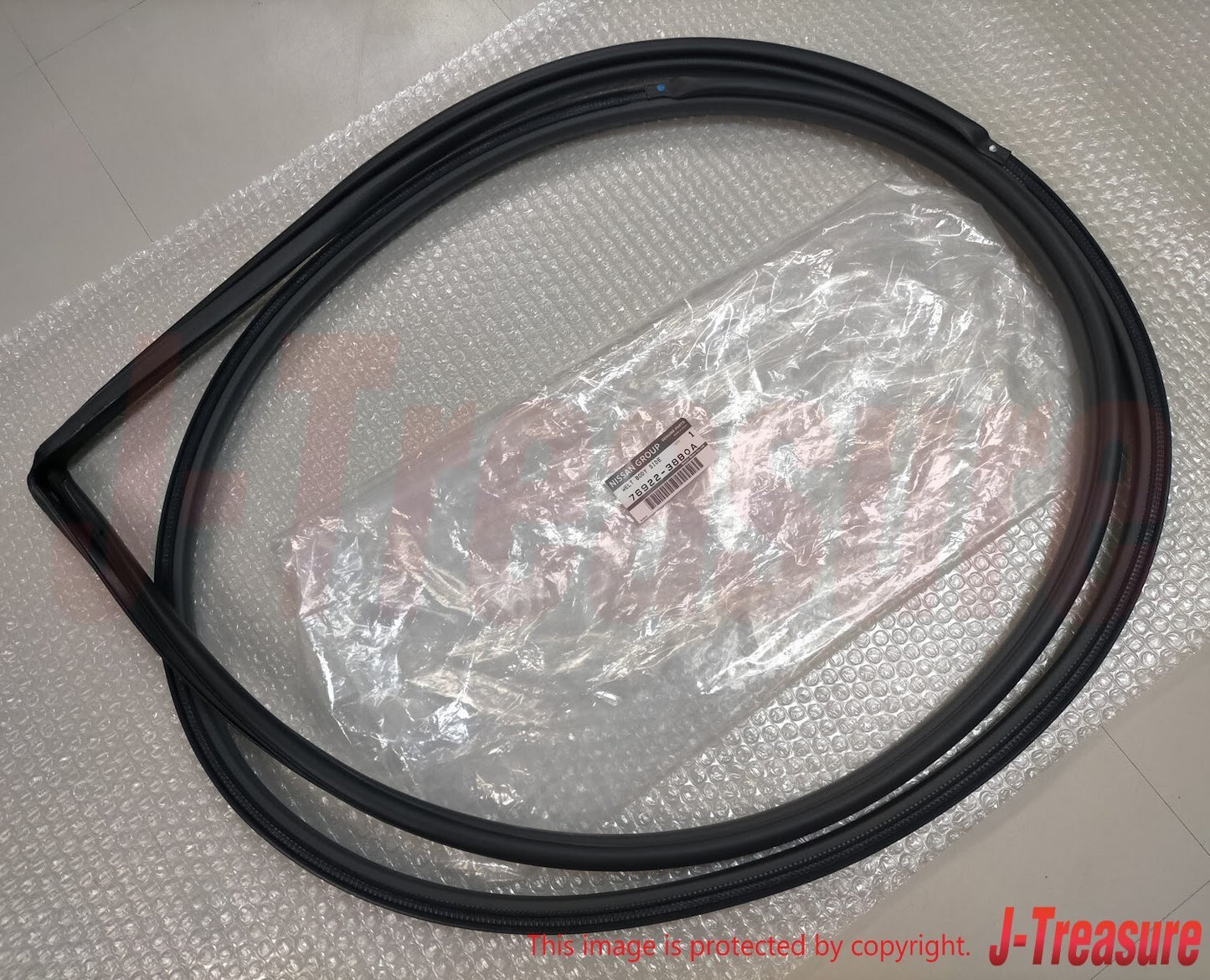 NISSAN GT-R R35 2012-2024 Genuine Front Welt Body Side Seal Right & Left Set OEM